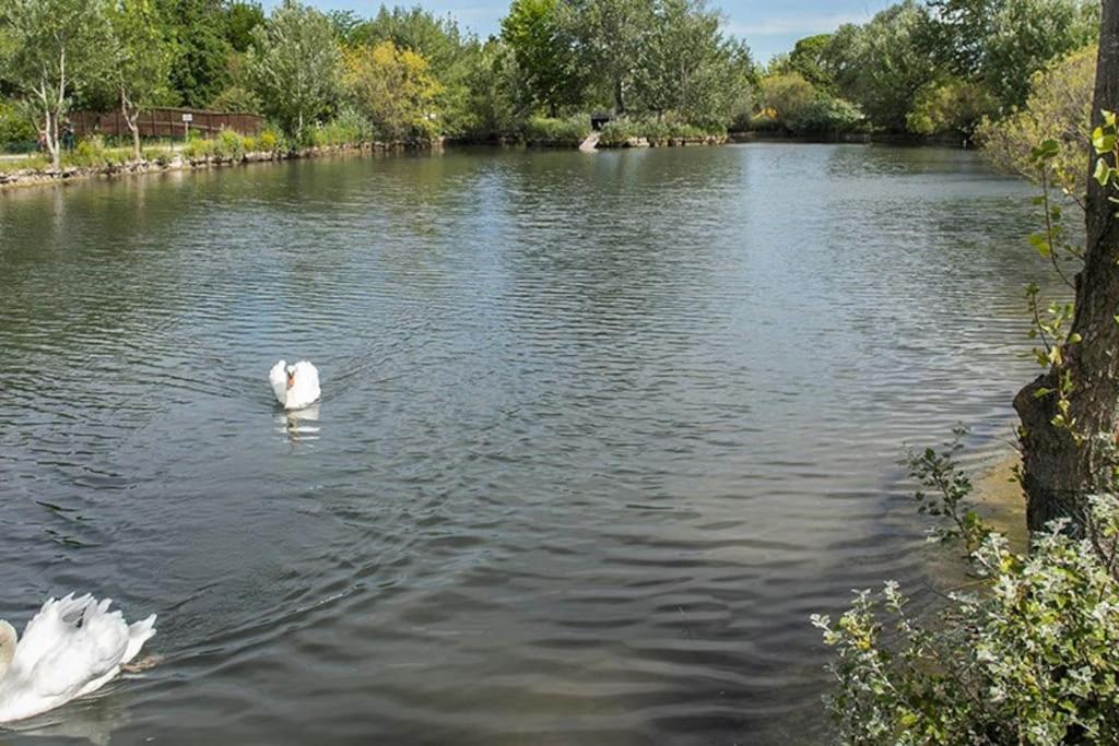 דירות Saint-Saturnin-lès-Avignon La Provencale מראה חיצוני תמונה